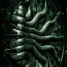 an image of a snake in the dark