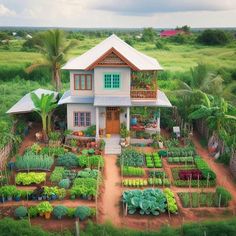 an aerial view of a small house with lots of plants in the front and side