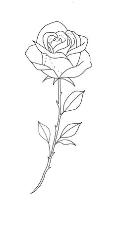 a drawing of a rose on a white background