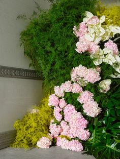 some pink and white flowers next to green plants