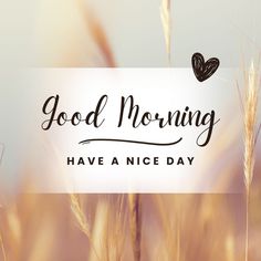 the words good morning have a nice day written in black on a background of wheat