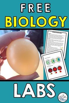 an egg is shown with the words free biology labs on it and in front of it