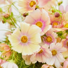 a bunch of pink and white flowers in a vase