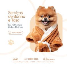 a small dog wearing a robe and smiling