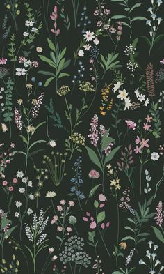 a black background with various flowers and plants on the bottom right hand corner is an illustration of wildflowers