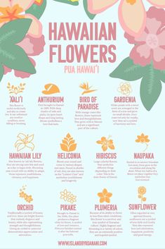 The photo shows a collage with information about different Hawaiian flowers. Island Flower Tattoo, Ponyo Sea, Hawaiian Words And Meanings, Culture Studies, Zen Inspiration, Hawaiian History, Gardening Inspiration, Hawaiian Flower