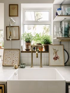 a kitchen sink sitting under a window next to a potted plant on top of a counter