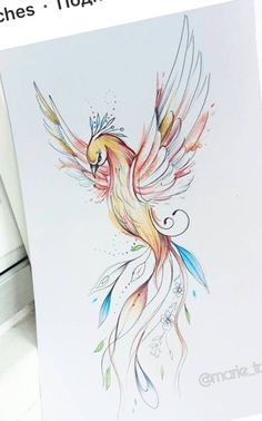 a drawing of a bird with colorful wings