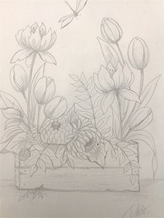 a pencil drawing of flowers in a vase