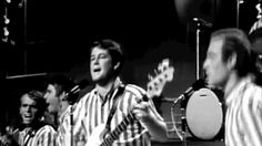 the beach boys singing on stage with their instruments