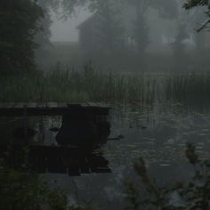 a foggy pond with water lilies in the foreground and an old house in the background