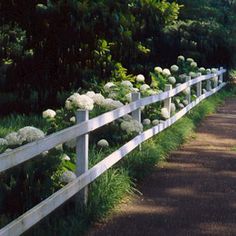 a white picket fence with flowers growing on it along the side of a dirt road