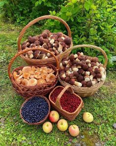 several baskets filled with different types of fruit on the ground in front of some bushes