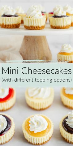 mini cheesecakes with different topping options on a cake platter for desserting