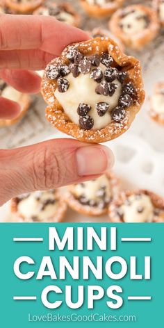 Mini Cannoli Cups Amazing Party Food, Mini Canolli Cups, Mini Cannoli Bites, Christmas Cup Desserts, Holiday Dessert For A Crowd, Holiday Mini Desserts, Canoli Cups Easy, Cannoli Cups Mini, Thanks Giving Desert Ideas