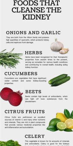 Kidney Diet Food Lists, Kidney Foods, Foods Good For Kidneys, Kidney Healthy Foods, Kidney Friendly Recipes Renal Diet, Gallbladder Removal, Kidney Detox, Kidney Friendly Foods, Healthy Kidneys