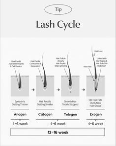 ✨Time for a Lash Check: Infill or Full Set? ✨ Keeping your lash extensions looking fresh and full requires knowing when to get a fill or start from scratch with a full set. Here’s a quick guide: • 100% full set: Lashes are full and flawless! • 40-60%: Time to book an infill to maintain your volume. • 10-30%: You’ll need a new full set to restore your lashes. Lash Care Instructions for the Best Results: First 24 hours: • No Water: Avoid getting your lashes wet-no steam, sweat, swimming, o... Lash Care Instructions, Full Set Lashes, Lash Fill, Lash Book, Lash Care, Lash Tips, Cell Division, Infection Control