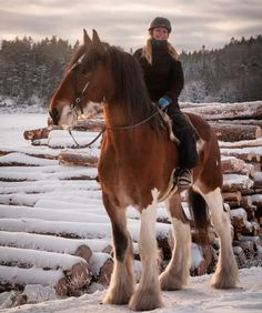 a woman riding on the back of a brown and white horse next to snow covered logs