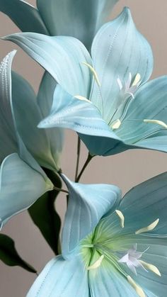 some blue flowers are in a vase on a table