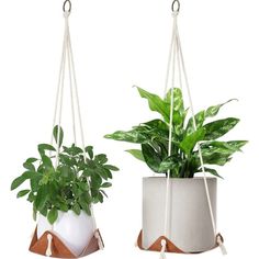 two hanging planters with plants in them, one is white and the other is brown