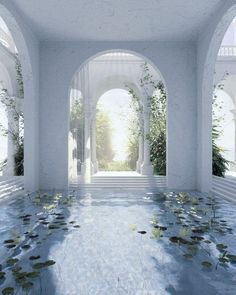 an empty room with water lilies in the floor and arches leading to another room