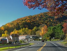 an empty road with houses on the side and trees lining the street in front of it