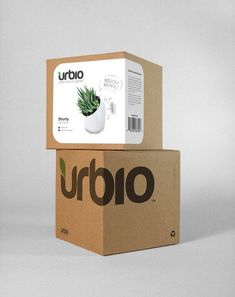 two cardboard boxes stacked on top of each other with a plant in the middle one