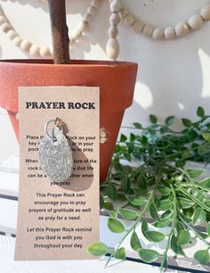 a plant with a prayer card attached to it