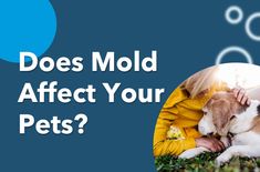 a woman with her dog in the grass text reads does mold effect your pets?