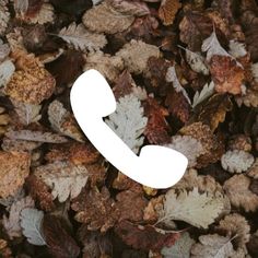 an image of a phone surrounded by leaves