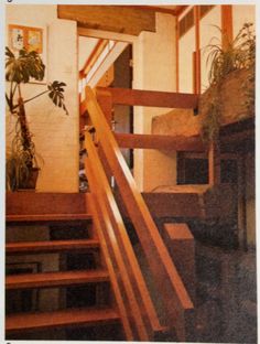 the stairs are made of wood and have plants on them