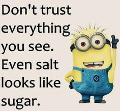 a minion with glasses and overalls saying don't trust everything you see even salt looks like sugar