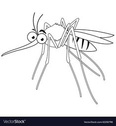 a mosquito insect with eyes and legs