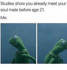 a green frog with two pictures of him and the caption reads, studies show you already meet your soul mate before age 21 me