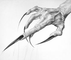 a pencil drawing of a hand with long nails on it's thumb and claws spread out