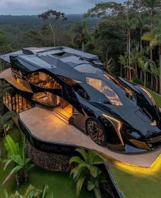 an aerial view of a black car parked on top of a lush green field next to palm trees