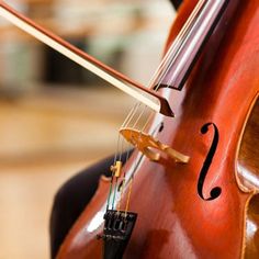 a close up of the strings on a cello