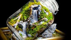 a glass jar filled with moss and rocks