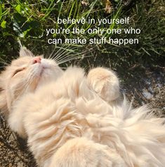 a fluffy white cat laying on its back in the grass with a quote above it that reads, believe in yourself you're the only one who can make stuff happen