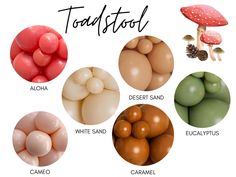 there are many different types of mushrooms