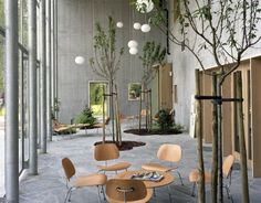 the interior of an office building with several tables and chairs, trees in the lobby