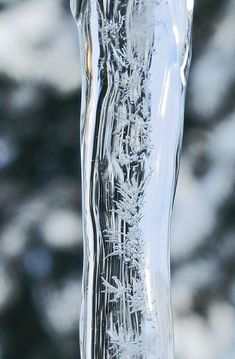 a close up view of an ice - covered vase