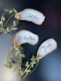 three personalized seashells with leaves on them