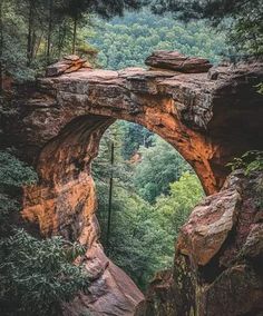 an arch in the side of a mountain with trees and rocks around it, as seen from below