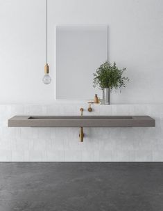 a bathroom with two sinks and a mirror on the wall next to a potted plant