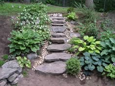 a stone path in the middle of a garden