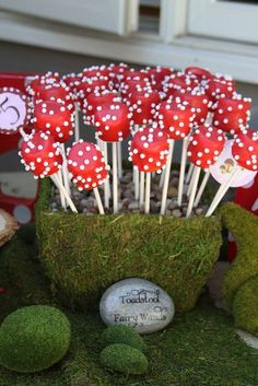 some red and white cake pops are in a mossy pot with rocks on the ground