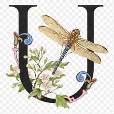 a dragonfly sitting on top of the letter j with flowers and leaves around it