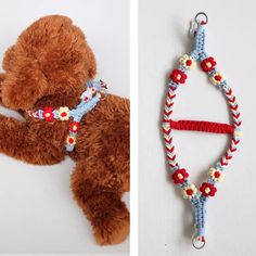 two pictures side by side one has a teddy bear and the other has a beaded dog collar