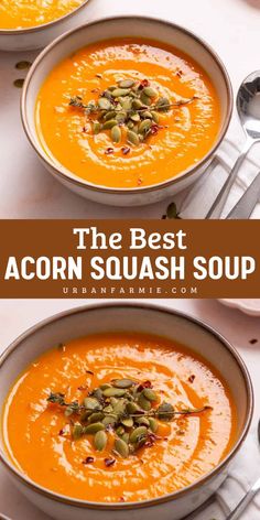 Warm up with The Best Acorn Squash Soup — a must-have for winter dishes, best comfort food recipes, and warm dinner ideas. This hearty soup is creamy, savory, and made with simple and wholesome ingredients. Ready in less than an hour, it’s healthy, comforting, and perfect for chilly days! Squash Leek Recipes, Leftover Acorn Squash, Ww Acorn Squash Recipes, A Corn Squash, Carnival Squash Soup, Pepper Squash Soup, Canning Acorn Squash Recipes, Lakota Squash Recipes, Squash Soup Acorn